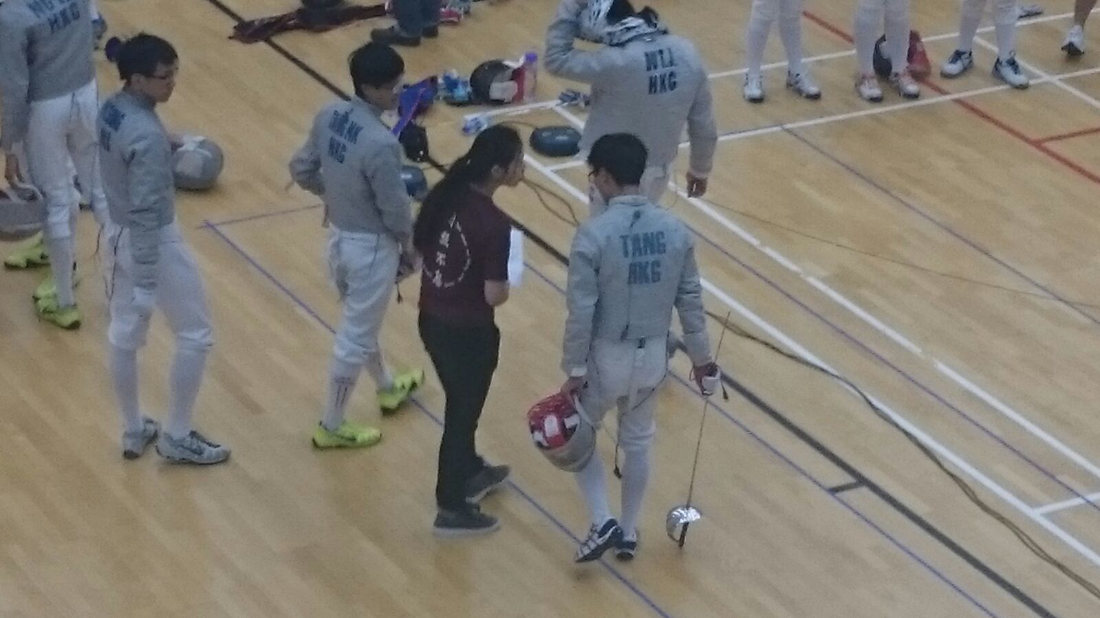 Fencing 3